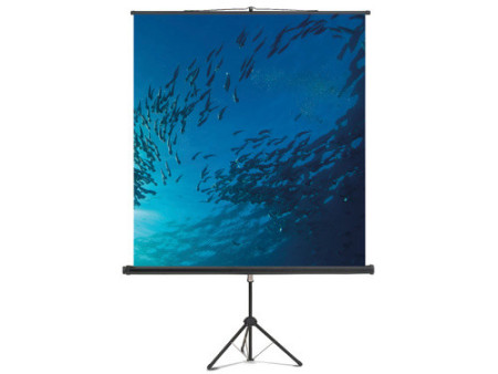 magnetoplan Ecran de projection sur trépied, 2.000 x 2.000mm