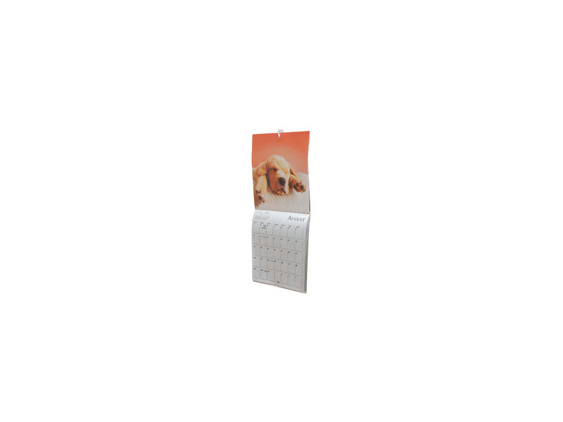 3M Command Mini-crochet, plastique, taille: S, blanc