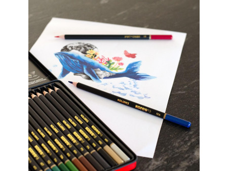 Kores Crayon de couleur 'KOLORES SELECTION', étui de 24
