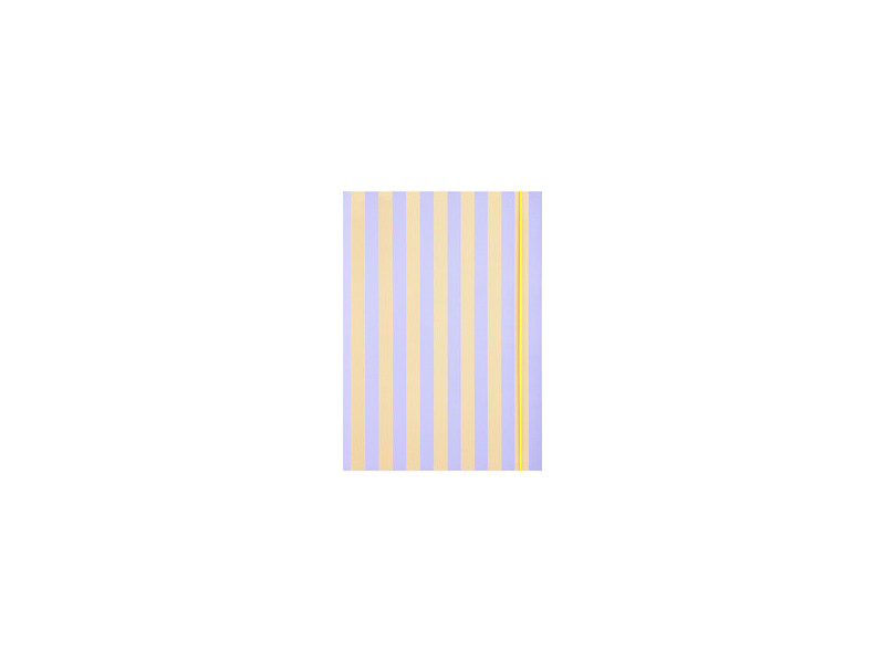 folia Carton à dessins 'NEON STRIPES', carton, A3, pink