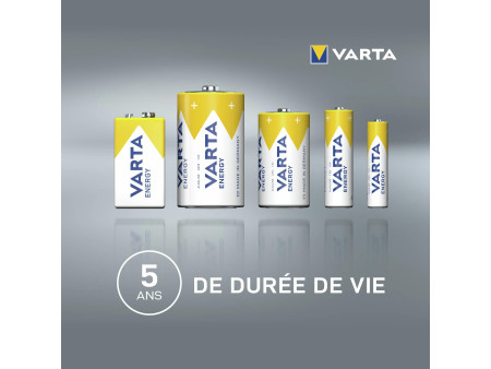 VARTA Pile alcaline Energy, Mignon (AA), 24 pièces