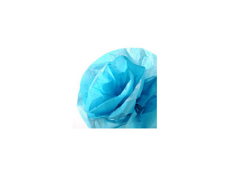 CANSON Papier de soie, 0,5 x 5,0 m, 20 g/m2, bleu turquoise