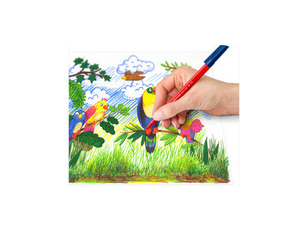 STAEDTLER Feutre de coloriage Noris, boîte de 100