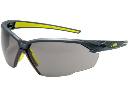 uvex Lunettes de protection suXXeed, oculaires: gris