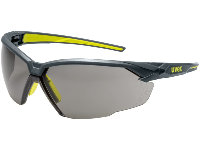 uvex Lunettes de protection suXXeed, oculaires: gris