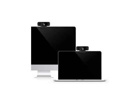 LogiLink Webcam USB Full HD avec micro double, noir
