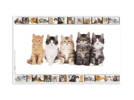 HERMA Sous-main 'Chats', (L)550 x (H)350 mm