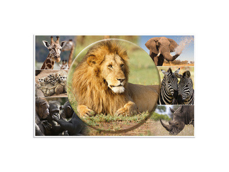 HERMA Sous-main 'Animaux d'Afrique', (L)550 x (H)350 mm