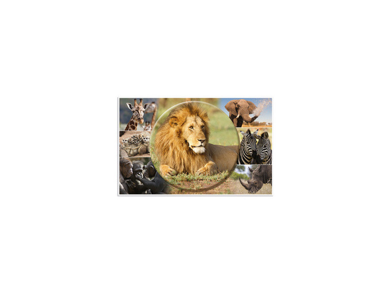 HERMA Sous-main 'Animaux d'Afrique', (L)550 x (H)350 mm