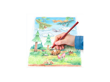 STAEDTLER Crayon de couleurs triangulaire Noris colour, 144