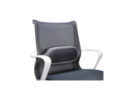 Fellowes Support dorsal I-Spire, gris