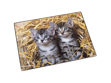 Läufer Sous-main 'chats dans les pailles', 400 x 530 mm
