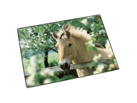 Läufer Sous-main cheval à la clôture, 400 x 530 mm