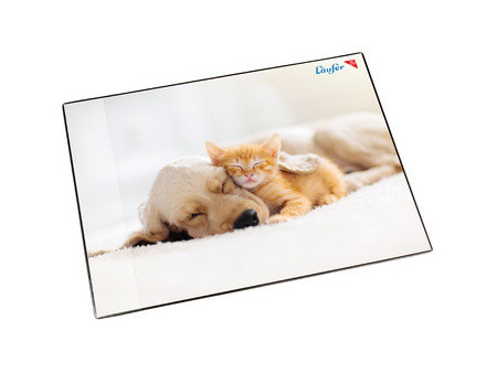Läufer Sous-main Chien et chat, 400 x 530 mm