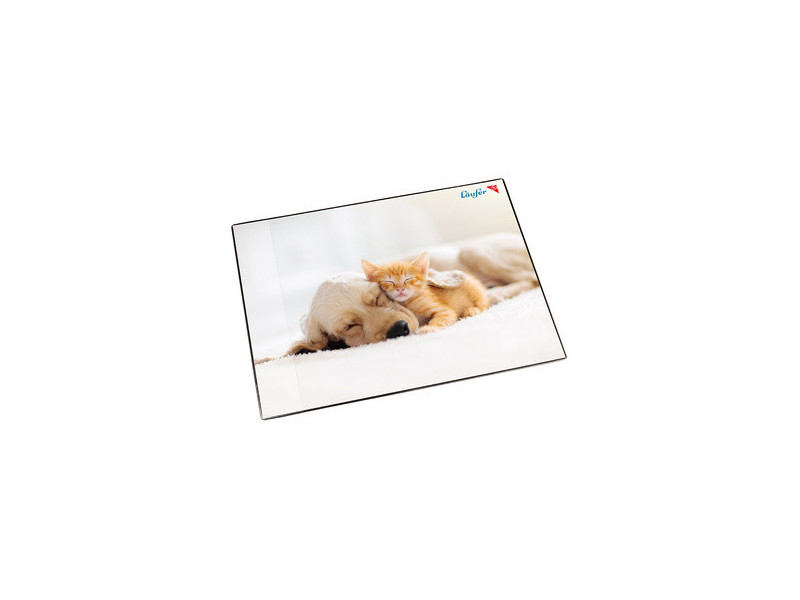 Läufer Sous-main Chien et chat, 400 x 530 mm