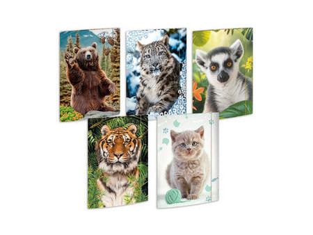RNK Verlag Carton à dessin 'Animaux', A3 - assortiment
