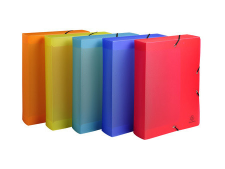 EXACOMPTA Boîte de classement Linicolor, PP, 60 mm, assorti