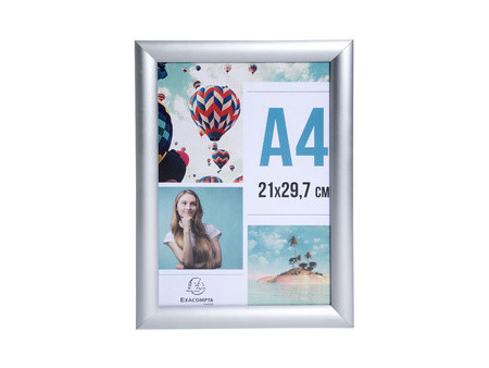 EXACOMPTA Cadre porte-affiche en aluminium, A3, argent