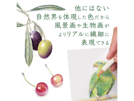 TOMBOW Crayons de couleur 'IROJITEN' Woodlands, set de 30,