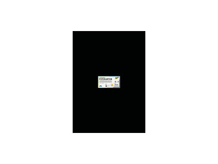 folia Carton, (L)500 x (H)700 mm, 380 g/m2, noir