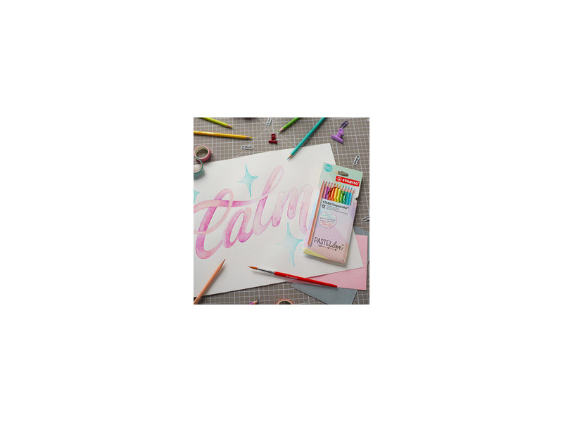 STABILO Crayon de couleur aquacolor Pastellove, étui de 12