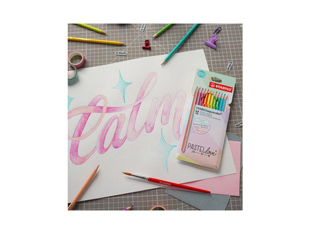 STABILO Crayon de couleur aquacolor Pastellove, étui de 12