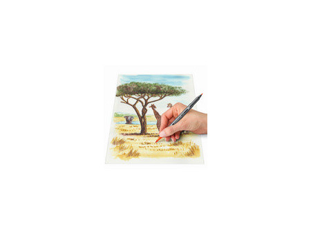STAEDTLER Feutre double pointe 'Amérique du Sud', étui de 6