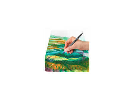 STAEDTLER Feutre double pointe 'Amérique du Sud', étui de 6