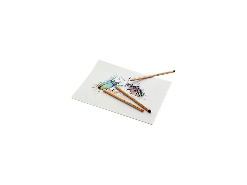 FABER-CASTELL Crayons de couleur PITT PASTELL, étui de 36 en