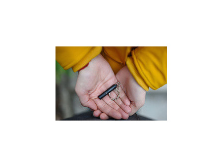 ANSMANN Lampe porte-clés Mini Keychain Light