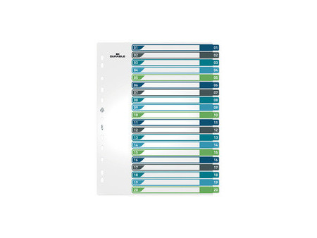 DURABLE Intercalaire en plastique, numérique, A4+