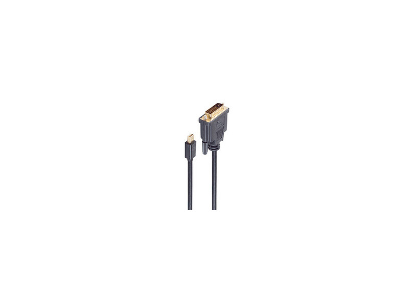 shiverpeaks Câble BASIC-S Mini DisplayPort - DVI-D 24+1
