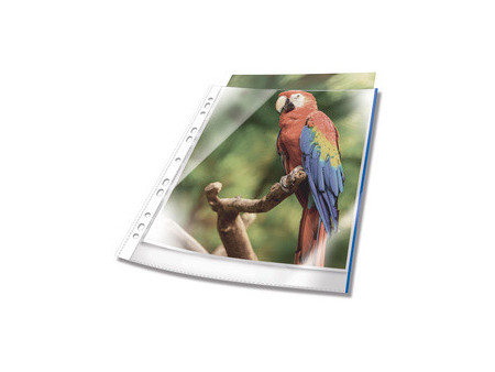 DURABLE Pochette perforée PREMIUM, A4, PP, bord bleu