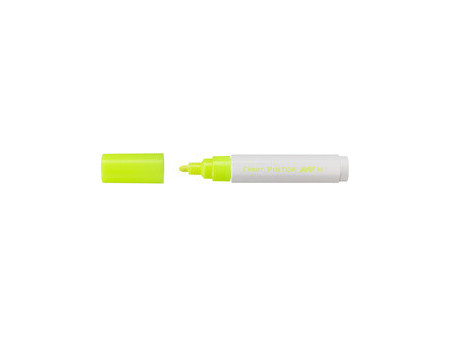 PILOT Marqueur à pigment PINTOR, medium, abricot fluo