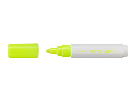 PILOT Marqueur à pigment PINTOR, medium, abricot fluo