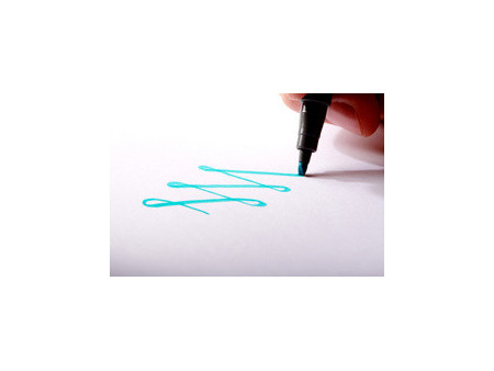 STAEDTLER Feutre pigment calligraphy pen, étui de 12
