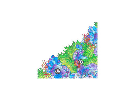 PentelArts Aquash Stylo pinceau, épaisseur: M, contenu: 5 ml