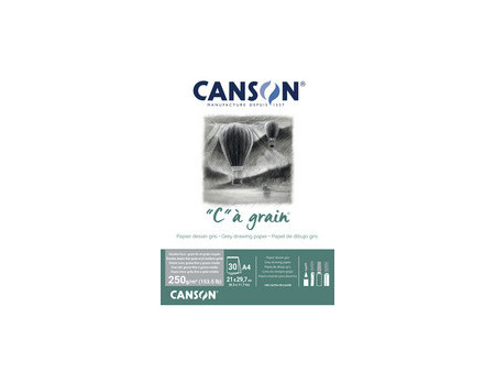 CANSON Bloc papier dessin 'C' à grain Couleur, gris chiné