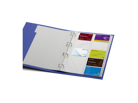 DURABLE Classeur à anneaux pour cartes de visite VISIFIX, A4