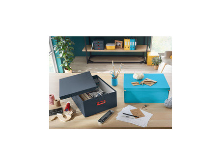 LEITZ Boîte de rangement Click & Store Cosy M, gris