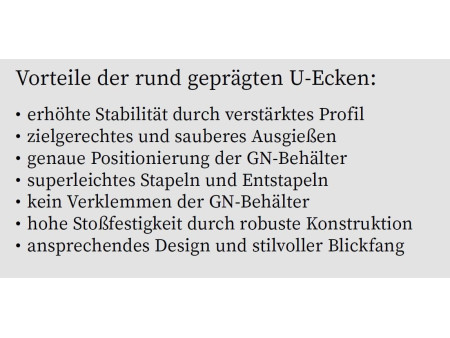 APS Récipient GN 1/1, (L)530 x (P)325 x (H)200 mm