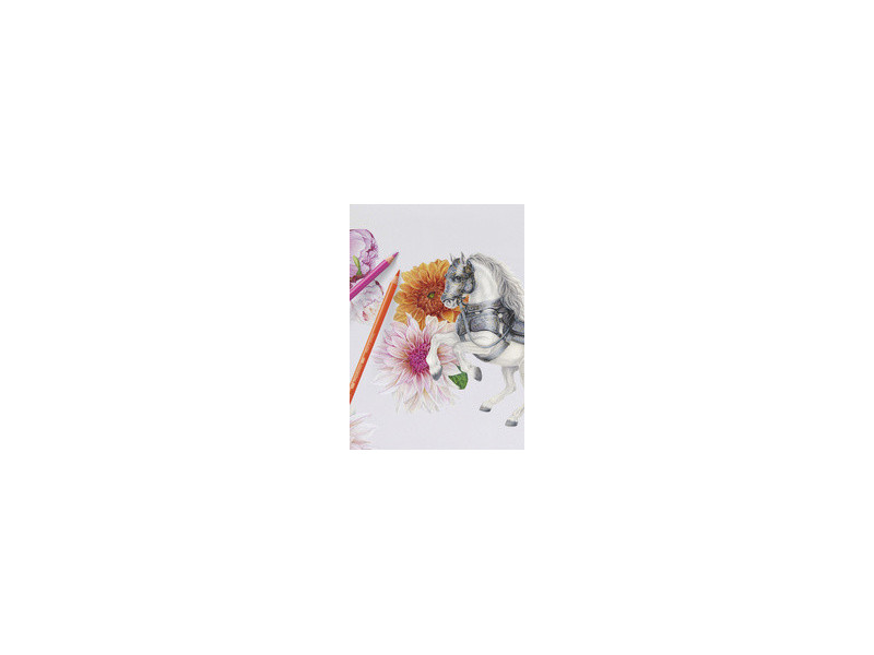 FABER-CASTELL Crayons de couleur POLYCHROMOS, étui en métal