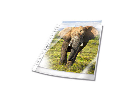 DURABLE Pochette perforée, A4, PP, 0,05 mm, transparent