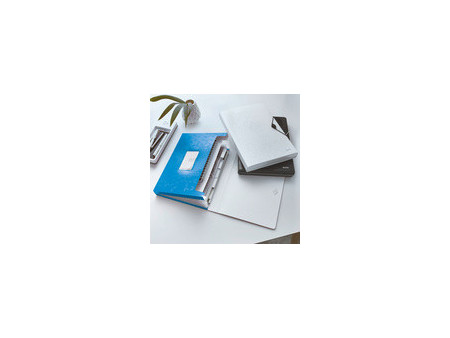 LEITZ Trieur ménager WOW, A4, PP, 6 compartiments, rose