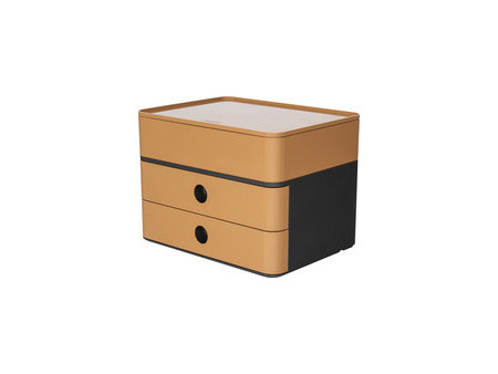 HAN Module de classement SMART-BOX plus ALLISON, flamingo