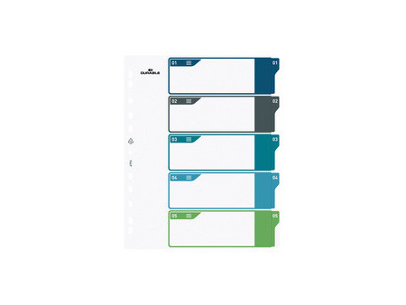 DURABLE Intercalaire en plastique, numérique, A4+