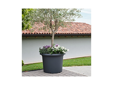 tera Jardinière 'Menfi', diamètre: 970 mm, anthracite