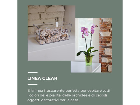 tera Pot de fleurs 'Coimbra 30', transparent