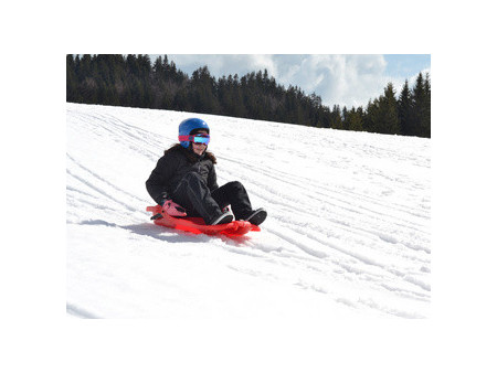 EDA Luge, plastique, 1 personne, rouge