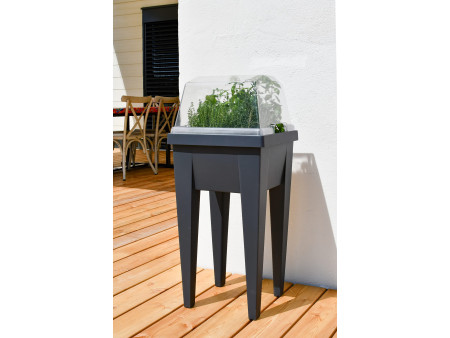 EDA Couvercle pour mini-jardinière 'VEG&Table', transparent